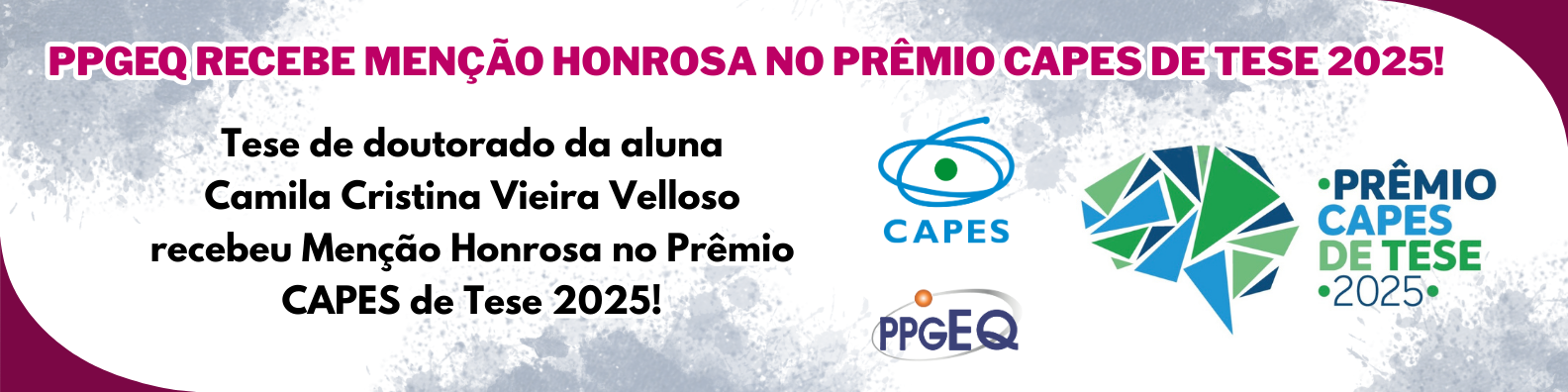 Pós-Doutorado - PIPD - 2024